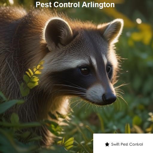 Pest Control Arlington