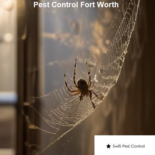 Pest Control Fort Worth