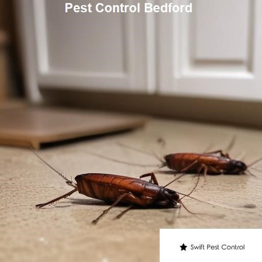 Pest Control Bedford