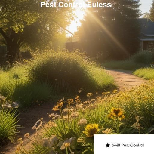 Pest Control Euless