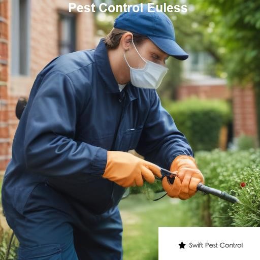 Pest Control Euless