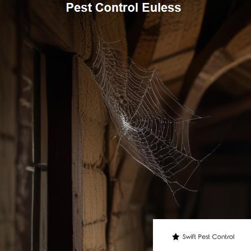 Pest Control Euless